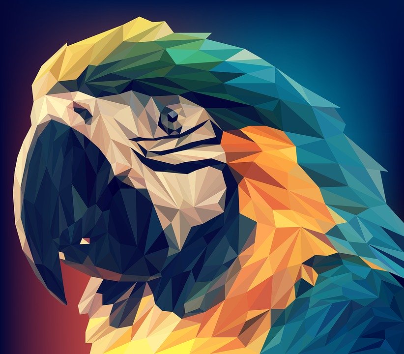 Illustration Animal Art Low Poly Polygon Vector